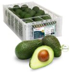 Palta Hass Cat1 Caja 10Kg