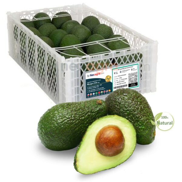 Palta Hass Cat1 Caja 10Kg