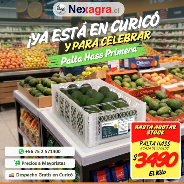 Palta Hass Cat1 Caja 10Kg