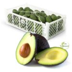 Palta Hass Caja 10Kg