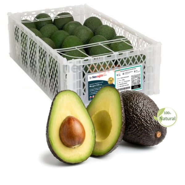 Palta Hass Premium Caja10Kg